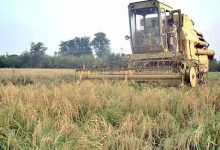 Agriculture Problems and Importance in Pakistan