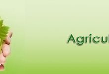BSC Agriculture In Pakistan 20 BSC Agriculture In Pakistan Scope, Subjects, Salary, Jobs