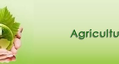 BSC Agriculture In Pakistan 3 BSC Agriculture In Pakistan Scope, Subjects, Salary, Jobs