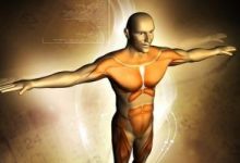 Doctor Of Physiotherapy DPT In Pakistan 5 Doctor Of Physiotherapy DPT In Pakistan Scope, Jobs, Salary, Subjects, Universities