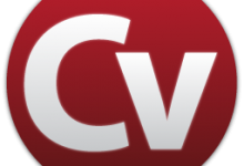 Best CV Format in Pakistan