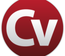 Best CV Format in Pakistan 13 Best CV Format in Pakistan