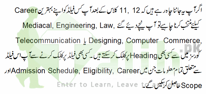 Career After 12th Class In Pakistan