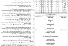 Govt Educators Jobs In Lahore 2015 Form Online Download Eligibility