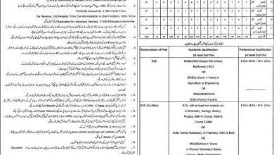Lahore Educators Jobs 2014-2015 Application Form
