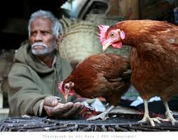 Pakistani Culture
