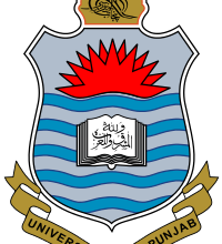 Punjab University BA BSC Supplementary Result 2026