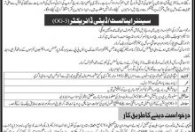 State Bank Of Pakistan SBP Deputy Director OG-3 Jobs 2017 Form, Last Date
