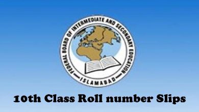 Federal Board 9th 10th Class Roll No Slip 2026 18 Federal Board 9th 10th Class Roll No Slip 2026