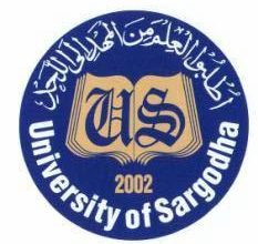 Sargodha University UOS BA BSc Supplementary Result 2026