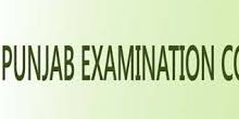 District Rahim Yar Khan 8th Class Result 2026 PEC Board