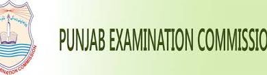 District Rahim Yar Khan 8th Class Result 2026 PEC Board