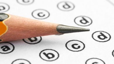 Bahawalnagar Board PEC 8th Class Result 2026 Download