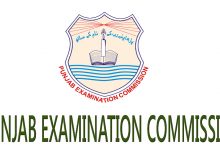District Khanewal 8th Class Result 2026 PEC Board