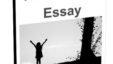 Inter 2nd Year English Important Essays 2026