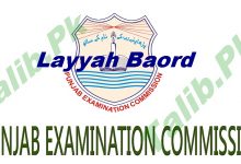 District Layyah 8th Class Result 2026 PEC Board