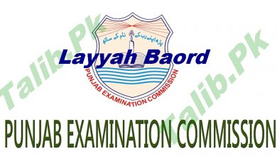 District Layyah 8th Class Result 2026 PEC Board