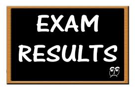 District Mandi Bahauddin 8th Class Result 2026 PEC Board