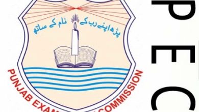 5th Class Result 2026 Roll Number Wise All Punjab Boards