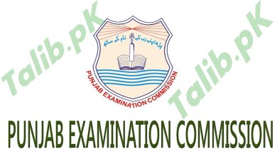 5th Class Result 2026