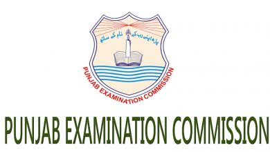 8th Class Result 2026 Roll Number Wise 9 8th Class Result 2026 Roll Number Wise