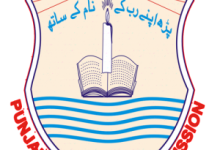 Bahawalpur Board 8th Class Result 2026 By Name Roll No