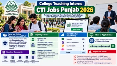 College Teaching Interns CTI Jobs Punjab 2026 Form, Interview Dates 39 College Teaching Interns CTI Jobs Punja