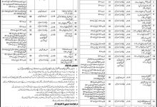 Directorate General of Immigration And Passports Jobs 2015 NTS Application Form