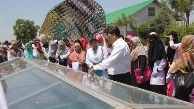 Top Agriculture Universities In Pakistan