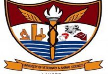 UVAS Entry Test Result 2026 Merit List