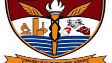 UVAS Entry Test Result 2026 Merit List