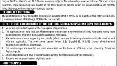 IPC Cultural Exchange Scholarship 2026 For Masters NTS Online Registration