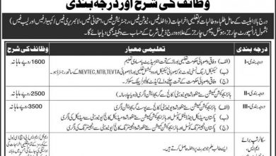 Punjab Workers Welfare Board Talent Scholarship 2026 Form, Last Date