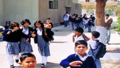 Summer Vacation 2026 In Punjab Notification