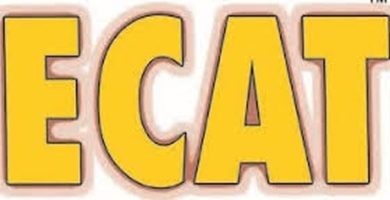 ECAT Preparation Institutes In Lahore