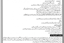 State Bank Of Pakistan Security Officers Jobs 2026 Application Form