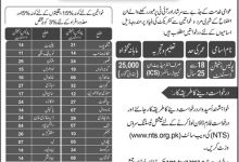 Punjab Police Senior Station Assistant Jobs 2017 NTS Application Form Online