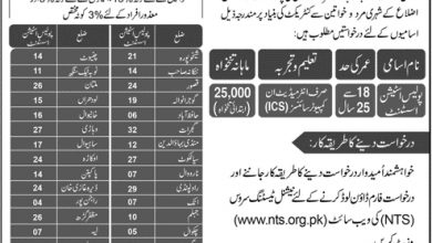 Punjab Police Senior Station Assistant Jobs 2017 NTS Application Form Online