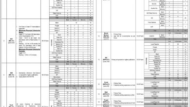 Federal Government Organization Jobs 2026 7 Federal Government Organization Jobs 2026 NTS Application Form