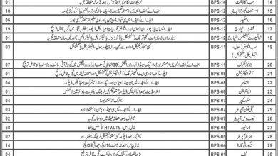 PDMA Balochistan Jobs 2026 CTSP 8 PDMA Balochistan Jobs 2026 CTSP Application Form Last Date