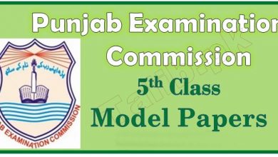 PEC 5th Class Model Papers 2026 Download Past Paper Pattern English, Math, Science, Urdu Subjects