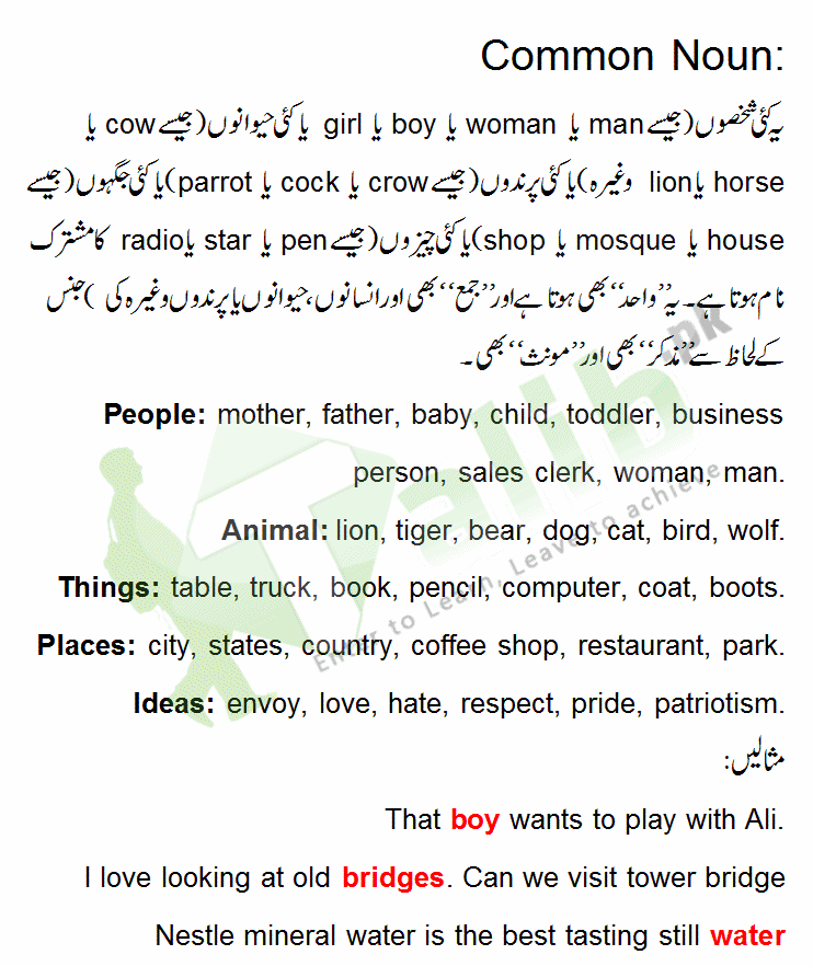 Common Noun Definition In Urdu With Examples