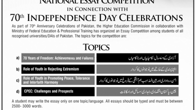 Essay And Speech Competition 2026 Punjab Government Registration Form