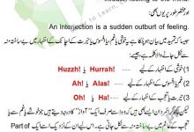 Interjection Definition And Examples In Urdu With Exercise Sentences