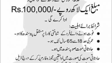 Sindh Universal Accidental Insurance Scheme Application Form Download Eligibility
