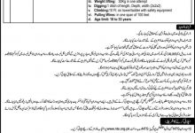 TESCO WAPDA Jobs 2026 NTS Application Form, Last Date