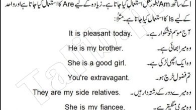Use of Is, Are, Am in English Grammar In Urdu With Examples