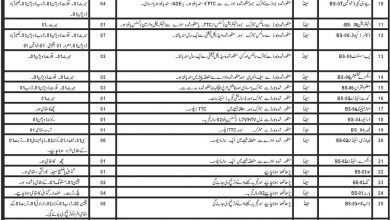 Jail Khana Jaat Balochistan Jobs Application Form 2026 6 Jail Khana Jaat Balochistan Jobs Aapplication Form 2026 Last Date