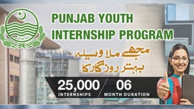 Punjab Youth Internship Program PYIP 2026 17 Punjab Youth Internship Program PYIP 2026