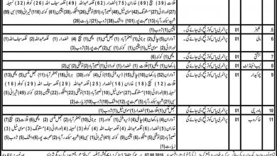 Secondary Education Department Balochistan Jobs 2026 Form, Last Date, Interview